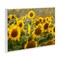 Stupell Industries Central Sunflower in Meadow Wall Plaque, design by Andy Crawford